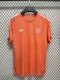 24-25 Bayern Special Edition Fans Soccer Jersey