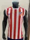 25-26 ATM Home Fans Soccer Jersey 无袖