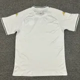 25-26 Tunisia White Special Edition Fans Soccer Jersey