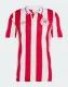 25-26 Olympiacos 100th Anniversary Fans Version Soccer Jersey