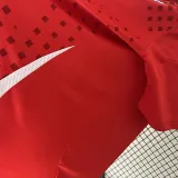 24/25 Chile Home Fans Soccer Jersey