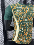 24/25 Cote d'Ivoire Green Special Edition  Player Version Soccer Jersey