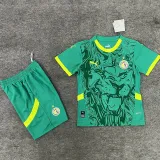 24/25 Senegal Away  Kids Soccer Jersey