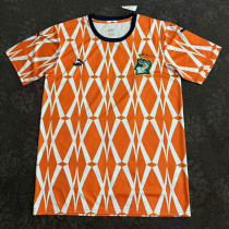 24/25 Cote d'Ivoire Stripe Special Edition Fans Soccer Jersey