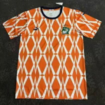 24/25 Cote d'Ivoire Stripe Special Edition Fans Soccer Jersey