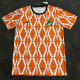 24/25 Cote d'Ivoire Stripe Special Edition Fans Soccer Jersey