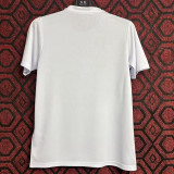 24/25 Japan Arowana Special Edition Fans  Soccer Jersey