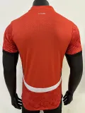 24/25 Egypt Home  Player Version Soccer Jersey