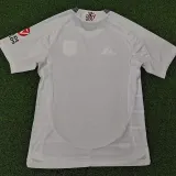 24/25 Aston Villa  Away Player Version Soccer Jersey