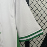 24/25 Nigeria Home Fans Soccer Jersey