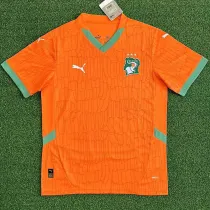 24/25 Cote d'Ivoire Home  Fans Soccer Jersey