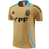 24/25 Argentina Mud Yellow Training Short Suit