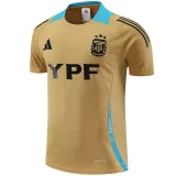 24/25 Argentina Mud Yellow Training Short Suit