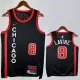 23/24 BULLS LAVINE #8 Black City Edition Top Quality Hot Pressing NBA Jersey