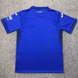 24/25 Hoffenheim Home Fans Soccer Jersey