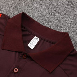 24/25 Bayern Red Polo Collar Pants Set(C1119)