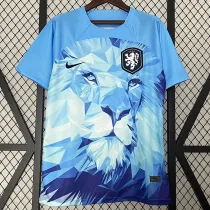24/25 Netherlands Blue Special Edition Soccer Jersey