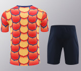 24/25 BAR Red &YellowTraining Short Suit