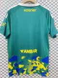 24/25 Zaragoza Green Limited Edition Fans Soccer Jersey