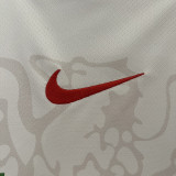 24/25 Nigeria Home Fans Soccer Jersey