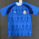 24/25 Palmeiras BlueTraining shirts