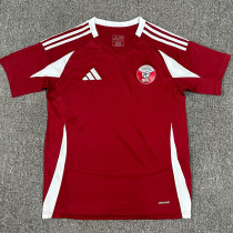24/25 Qatar Home Fans Soccer Jersey