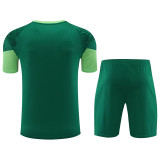 24/25  Palmeiras  Green Training Short Suit  （绿色）