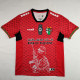 24/25 Palestino Deportivo Red Special Edition Fans Soccer Jersey