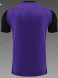 24/25 Germany Purple Training Short Suit