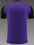 24/25 Germany Purple Training Short Suit