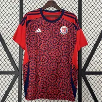 24/25 Costa Rica Home Fans Soccer Jersey