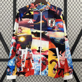 24/25  Japan Children's Picture Double Sided Windbreaker (双面风衣)