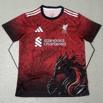 24/25 LIV  Reddish brown Special Edition  Fans Soccer Jersey