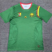 24/25 Cameroon Home Fans Soccer Jersey