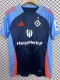 2025 Hamburger Special Edition Blue Fans Soccer Jersey左右带章