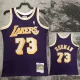 1998/1999 LAKERS ROOMAN #73 Purple Retro Top Quality Hot Pressing NBA Jersey(圆领）
