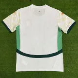 24/25 Cote d'Ivoire Away Fans Soccer Jersey