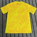 2024  France Goalkeeper Yellow  Fans Soccer Jersey