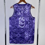 22/23 LAKERS JAMES #6 Purple Top Quality Hot Pressing NBA Jersey (荣耀版)