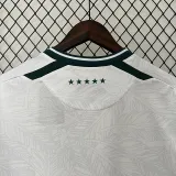 24/25 Santiago Away Green Fans Soccer Jersey