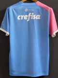 24/25  Palmeiras Sky Blue & Pink Training shirts