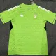24/25 Tigres Green Special Edition Fans Soccer Jersey