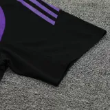 24/25 Germany Purple Training Short Suit
