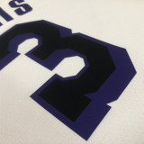22/23 LAKERS DAVIS #3 White City Edition Top Quality Hot Pressing NBA Jersey