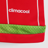 2015/2016  Wales  Home Retro Soccer Jersey