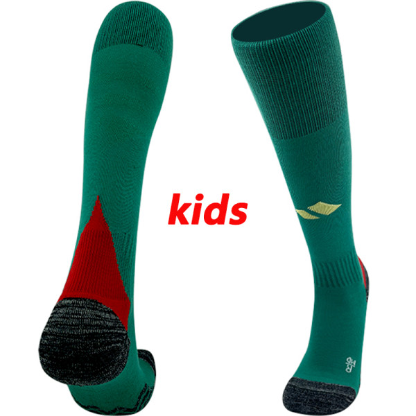 2024  Wales Away Green Kids socks(儿童）