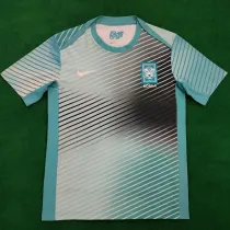 24/25 Korea Green Training Shirts
