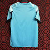 24/25 Japan Blue Mountain Water Fans Soccer Jersey(蓝山水版）