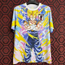 24/25 Japan Rainbow Saiyan Fans  Soccer Jersey