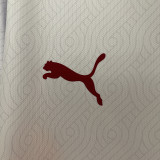 24/25 Galatasaray  Away Fans Soccer Jersey